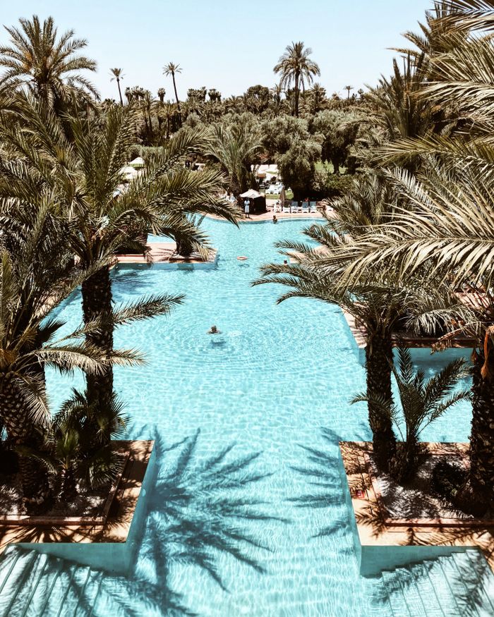 A stunning view of a turquoise pool surrounded by lush palm trees, perfect for a tropical getaway.